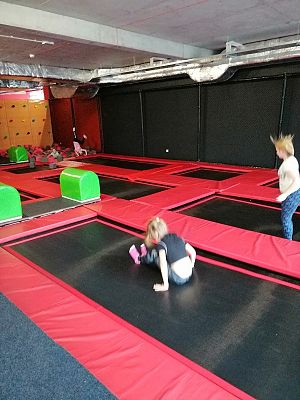  Grafika #17: Wycieczka do Centrum Rozrywki dla dzieci Madagaskar