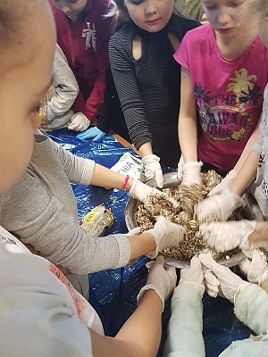  Grafika #10: Spotkanie z leśniczym