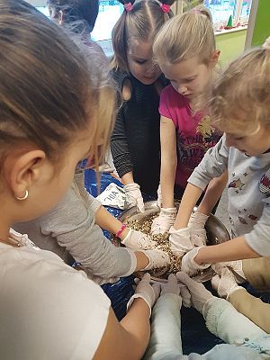  Grafika #18: Spotkanie z leśniczym