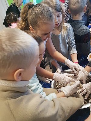  Grafika #11: Spotkanie z leśniczym