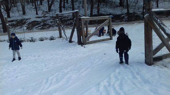  Grafika #16: Spotkanie z leśniczym