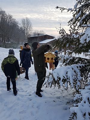  Grafika #29: Spotkanie z leśniczym