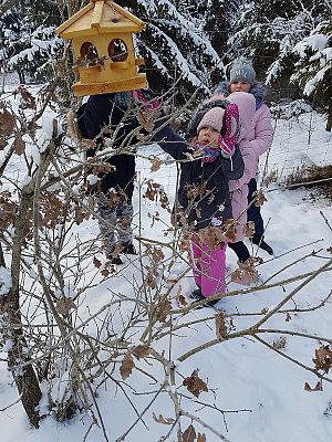  Grafika #70: Spotkanie z leśniczym