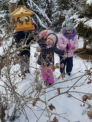  Grafika #65: Spotkanie z leśniczym
