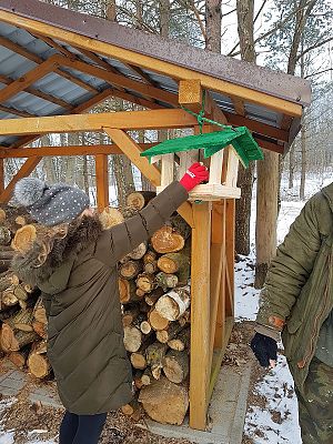  Grafika #62: Spotkanie z leśniczym