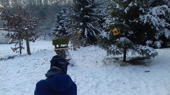  Grafika #20: Spotkanie z leśniczym