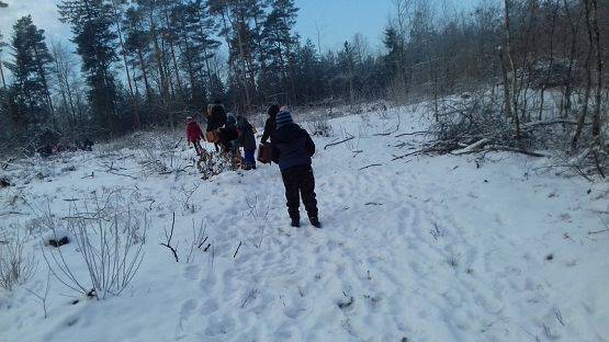  Grafika #21: Spotkanie z leśniczym