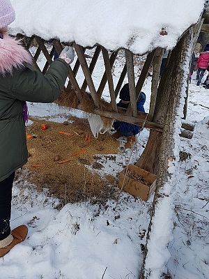  Grafika #34: Spotkanie z leśniczym