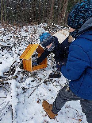  Grafika #63: Spotkanie z leśniczym