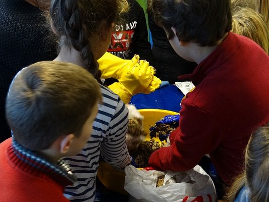  Grafika #41: Spotkanie z leśniczym