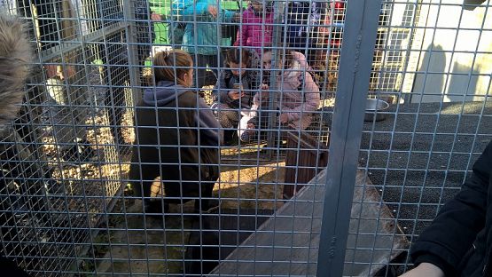 Grafika #1: Wycieczka do schroniska BAJER w Małoszycach