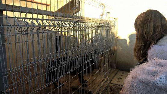 Grafika #7: Wycieczka do schroniska BAJER w Małoszycach