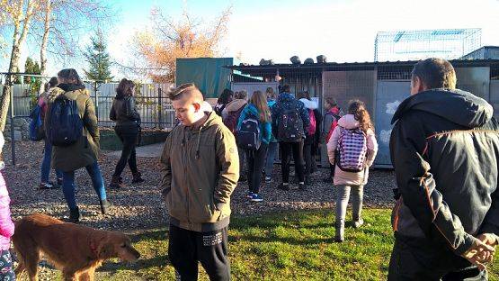 Grafika #11: Wycieczka do schroniska BAJER w Małoszycach