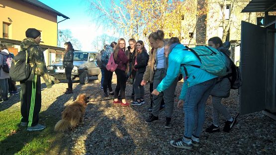 Grafika #12: Wycieczka do schroniska BAJER w Małoszycach
