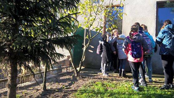 Grafika #13: Wycieczka do schroniska BAJER w Małoszycach