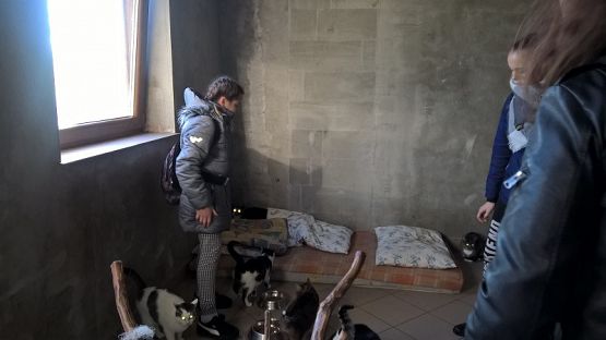 Grafika #3: Wycieczka do schroniska BAJER w Małoszycach