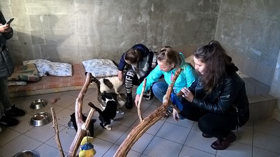 Grafika #16: Wycieczka do schroniska BAJER w Małoszycach