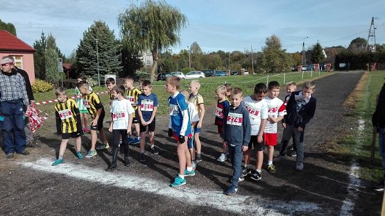 Grafika #8: Drużynowe biegi przełajowe dziewcząt i chłopców w ramach Igrzysk Dzieci oraz Igrzysk Młodzieży Szkolnej