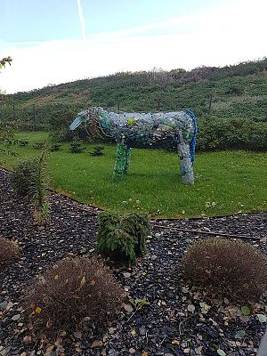 Grafika #16: Wizyta w ZZO w Czarnówku