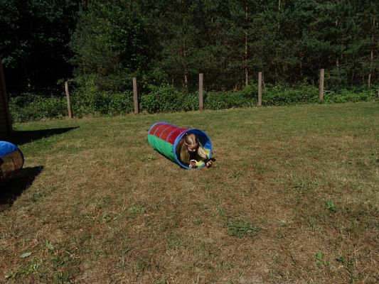 Grafika #39: Zakończenie roku szkolnego w oddziale przedszkolnym 5 -latków