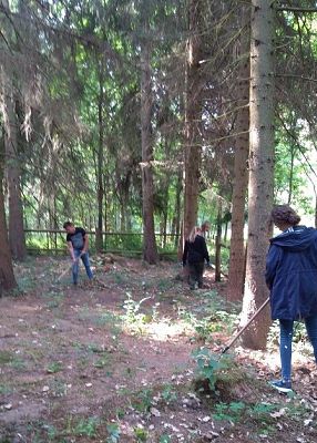 Grafika #2: Pamiętamy o poległych w czasie I wojny światowej