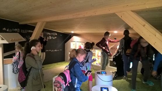 Grafika #20: Wycieczka do Wdzydz Kiszewskich