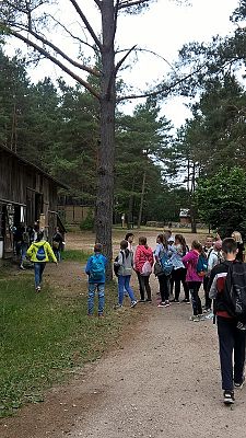 Grafika #45: Wycieczka do Wdzydz Kiszewskich