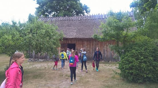 Grafika #73: Wycieczka do Wdzydz Kiszewskich