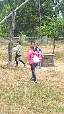 Grafika #80: Wycieczka do Wdzydz Kiszewskich