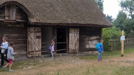 Grafika #84: Wycieczka do Wdzydz Kiszewskich