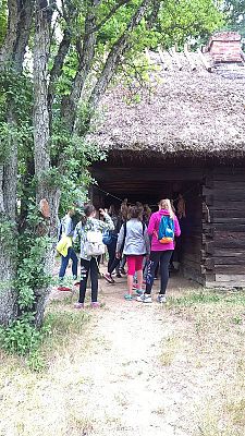 Grafika #91: Wycieczka do Wdzydz Kiszewskich