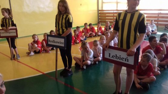  Grafika #4: Powiatowa Olimpiada Sportowa klas I - III SP