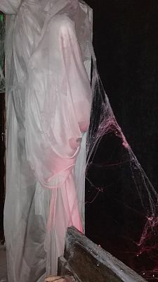  Grafika #34: Wycieczka do Gniewa