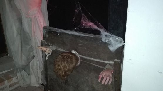  Grafika #39: Wycieczka do Gniewa