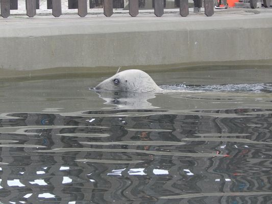  Grafika #7: Wycieczka na HEL