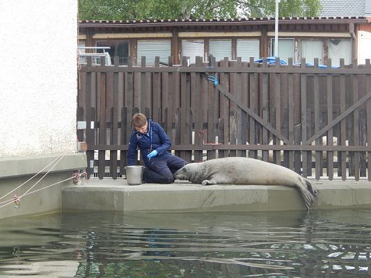  Grafika #4: Wycieczka na HEL