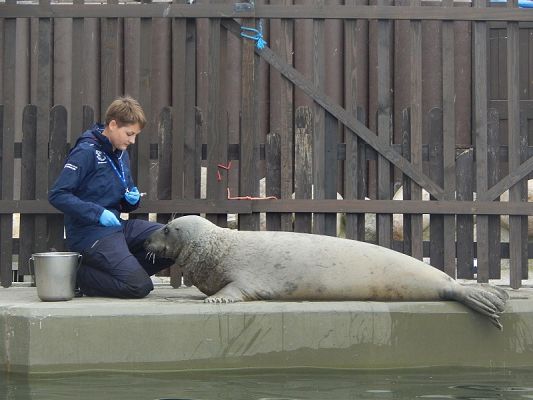  Grafika #9: Wycieczka na HEL