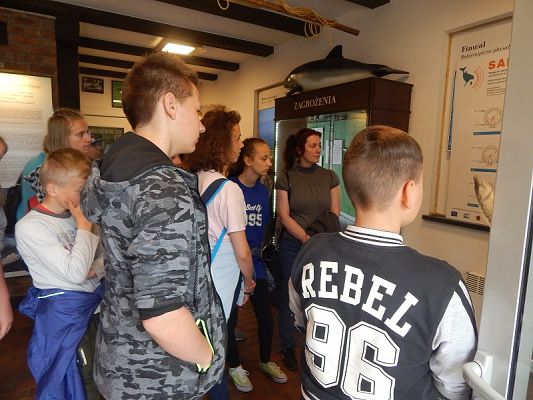  Grafika #11: Wycieczka na HEL