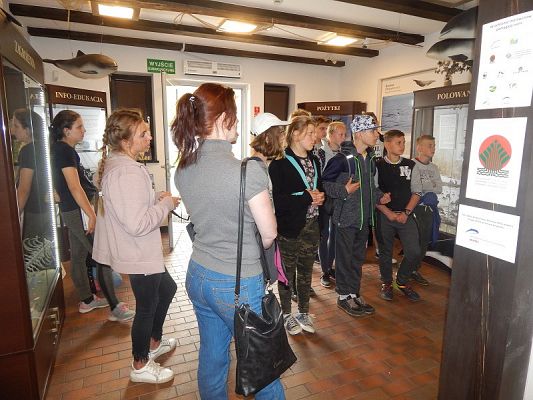  Grafika #5: Wycieczka na HEL