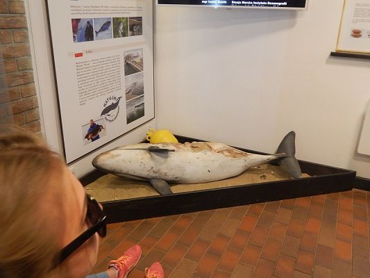  Grafika #16: Wycieczka na HEL