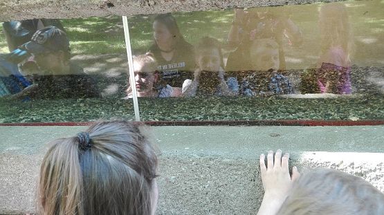 Grafika #18: 73. rocznica oswobodzenia KL STUTTHOF