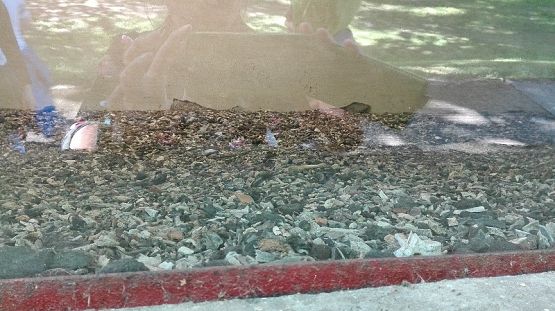 Grafika #1: 73. rocznica oswobodzenia KL STUTTHOF