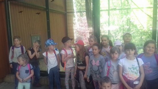 Grafika #8: Wycieczka do ZOO