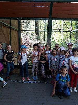 Grafika #2: Wycieczka do ZOO