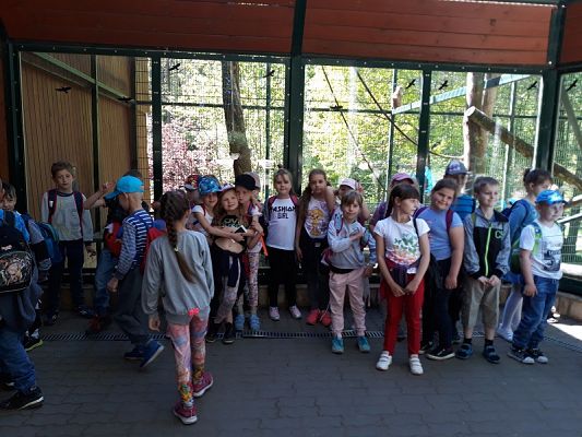 Grafika #4: Wycieczka do ZOO