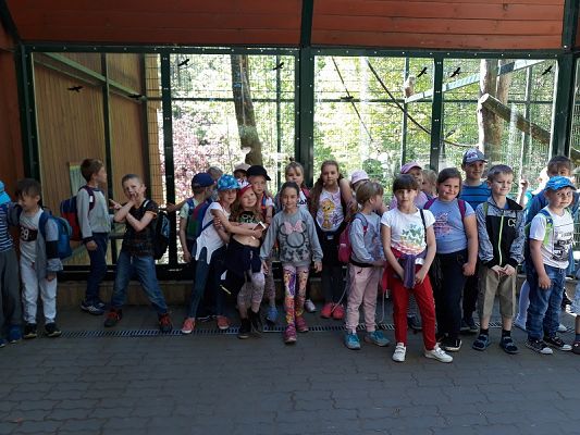 Grafika #1: Wycieczka do ZOO