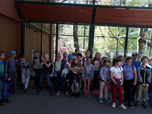 Grafika #5: Wycieczka do ZOO