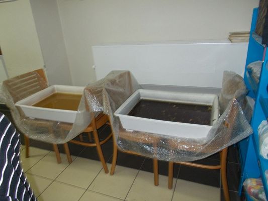  Grafika #2: Wycieczka do Muzeum w Lęborku