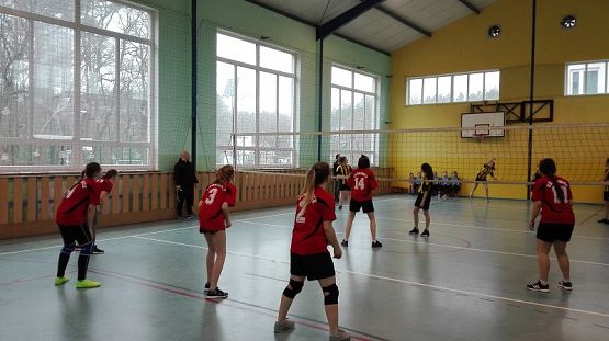 Grafika #5: Najlepsze w gminie Nowa Wieś Lęborska!!!